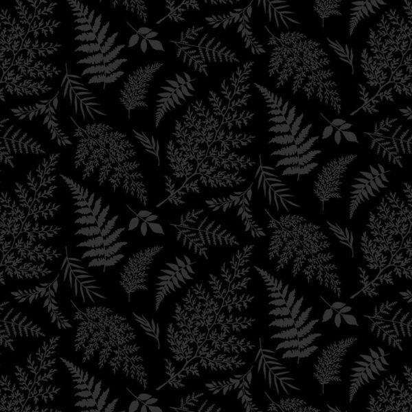 Black Fern # 1615-99B