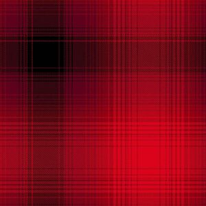Red Ombre Plaid # 1876-88