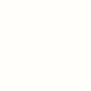 COLORWORKS Premium Solids Snow - 9000-10