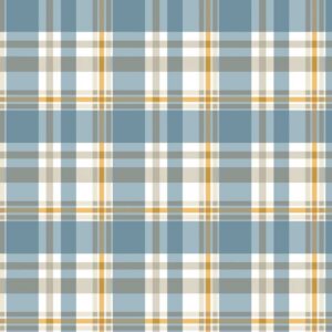 Blue Plaid # BQ4075-11