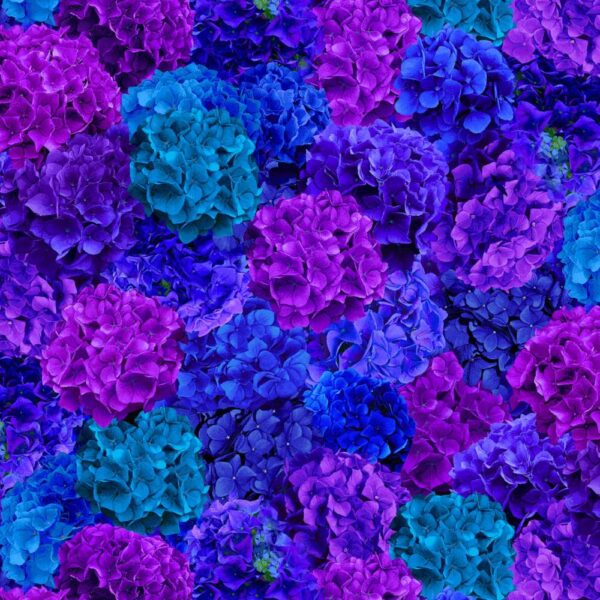 Multi Packed Hydrangea Floral # CD3383-MULTI