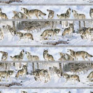 Northcott Wild at Heart Border Stripe - DP28191-42