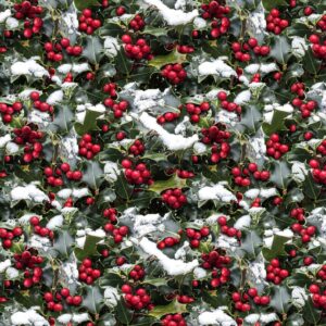 Christmas Frosted Holidays # X5563H-161