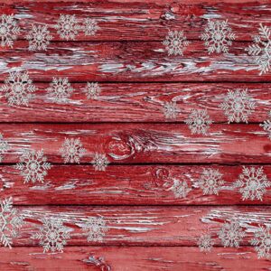 Red Frosted Holidays # X5565H-5