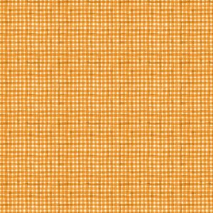 Orange Gingham # 33913-181
