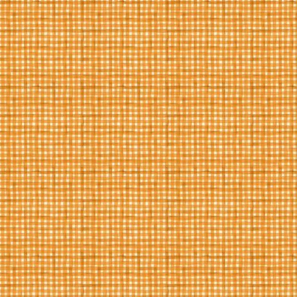 Orange Gingham # 33913-181